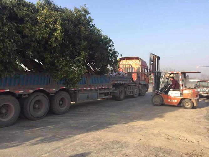 海鹽至安吉公路桐鄉鳳鳴至洲泉段景觀綠化及配套設施工程第1標段—3月