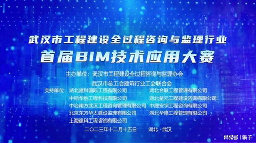 武漢市工程建設全過程咨詢與監理行業首屆BIM技術應用大賽